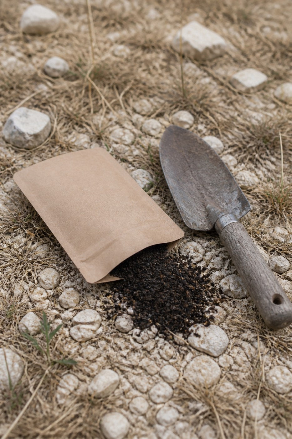 Illustrative rendering of an unbranded kraft packet of mycorrhizal root starter spilled open on caliche gravel beside a trowel.