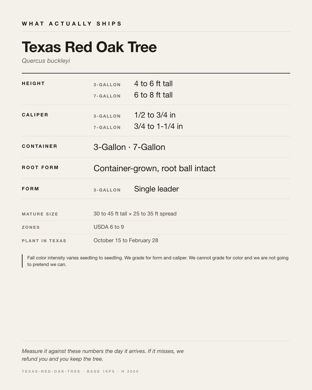 Specification card for the Texas Red Oak Tree: ships at 3-Gallon: 4 to 6 ft. 7-Gallon: 6 to 8 ft, in a 3-Gallon / 7-Gallon nursery container, by variant, matures to 30 to 45 ft x 25 to 35 ft, USDA zones 6-9, plant in Texas Oct 15 - Feb 28.